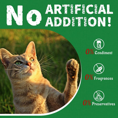 【Live Big Deal 】JUST TRY Cat Grass Treats and Hairball Solution